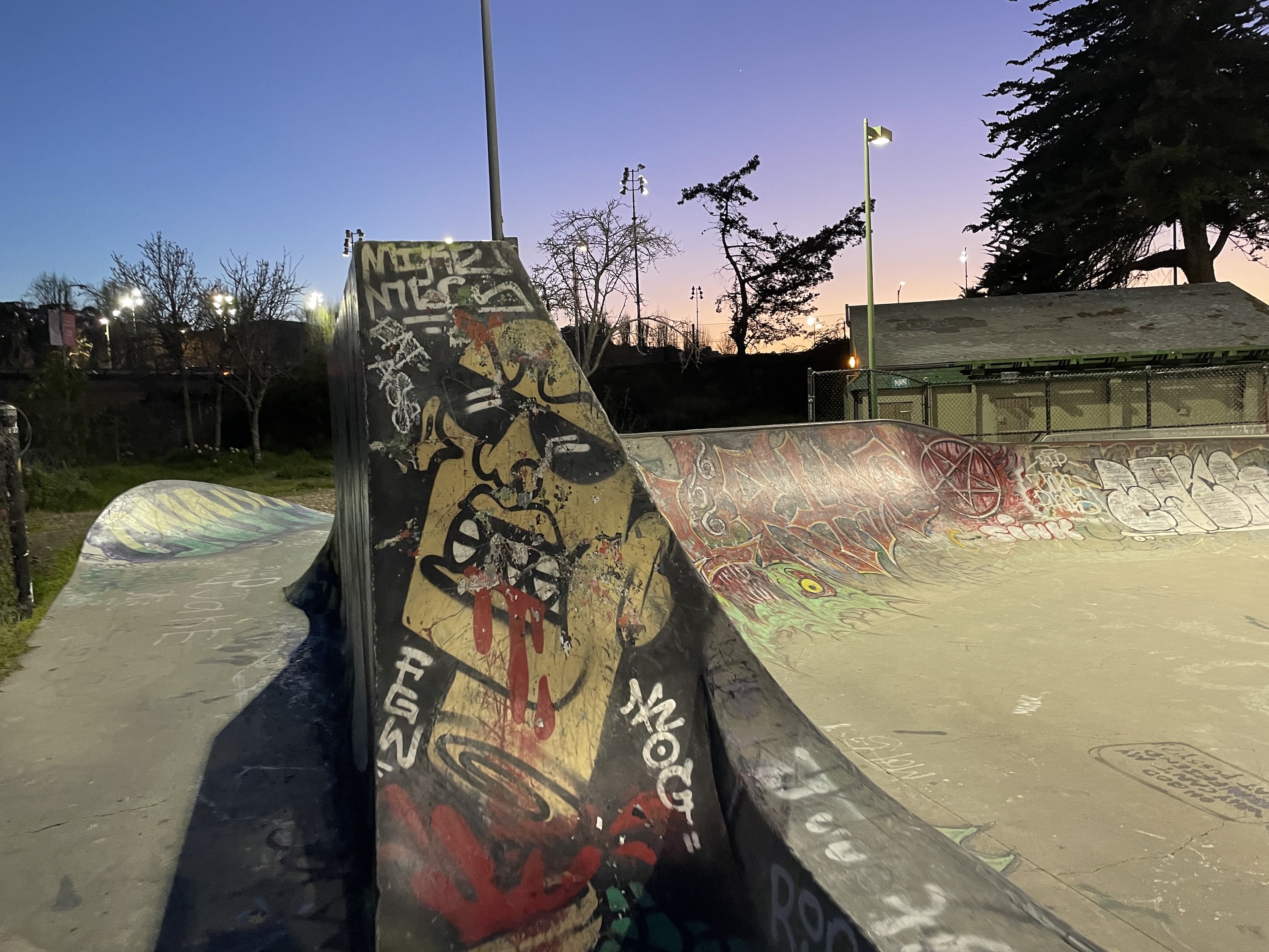 Potrero skatepark